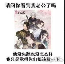 最新爆料朱紫,神秘新游曝光，揭开奇幻世界神秘面纱  第1张